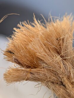 PXL_20250907_101311907.MACRO_FOCUS.jpg