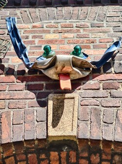 IMG_20250907_125425.jpg