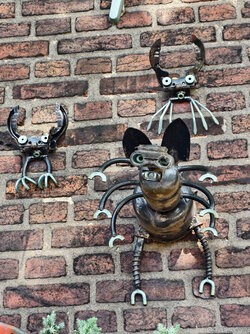 IMG_20250907_125654.jpg