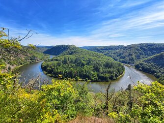 IMG_20250907_140216.jpg