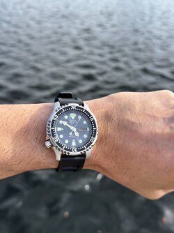 IMG_2981.jpeg