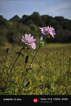 IMG_20250907_125127.jpg
