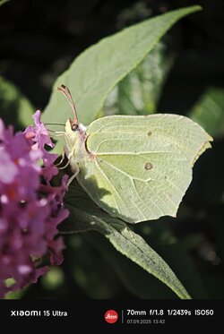 IMG_20250907_134159.jpg