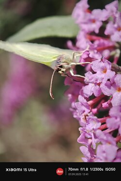 IMG_20250907_134143.jpg
