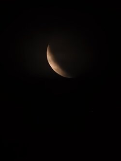 IMG_20250907_210537.jpg