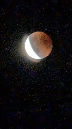 PXL_20250907_190956225.jpg