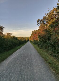 IMG_20250907_193540.jpg