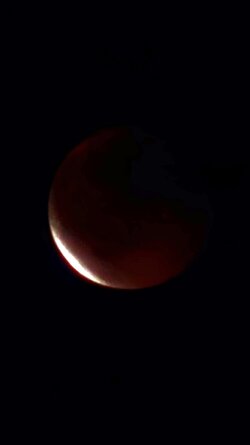 20250907_205637.jpg