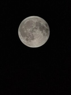 IMG_20250907_222305.jpg