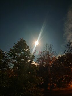 IMG_20250907_222353.jpg
