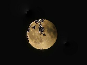 IMG_20250907_220414 (1).jpg