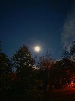 IMG_20250907_222407.jpg