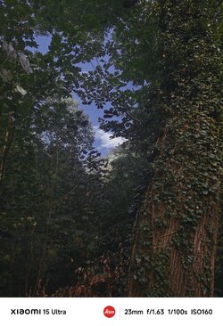 IMG_20250907_223711.jpg