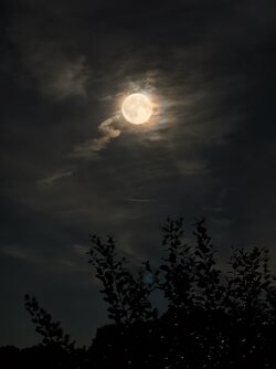 IMG_20250907_222101.jpg