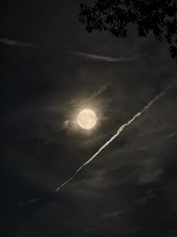 IMG_20250907_223639.jpg