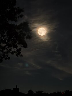 IMG_20250907_221626.jpg