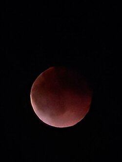 IMG_20250907_204856921~2.jpg