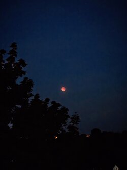 IMG_20250907_204031627~2.jpg