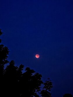 IMG_20250907_204039557~2.jpg