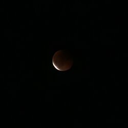 20250907_205651.jpg