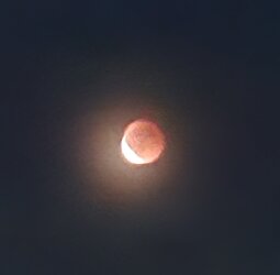 20250907_205917.jpg