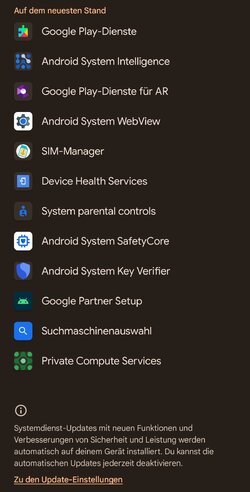 Screenshot_20250908-103421.Google Play Store.jpg
