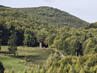 IMG_20250907_091257.jpg