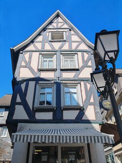 IMG_20250906_125452.jpg