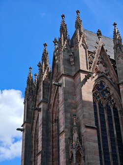 IMG_20250906_135246.jpg