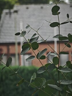 IMG_20250908_161134.jpg
