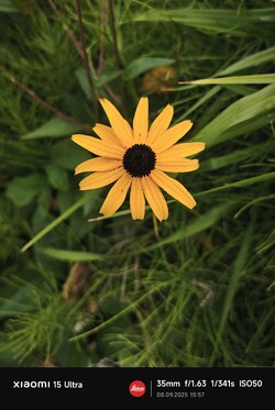 IMG_20250908_155734.jpg