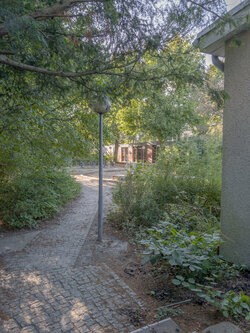 Google Pixel 10 Pro XL_IMG_250907_173120.jpg