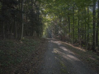 IMG_20250907_090507.jpg