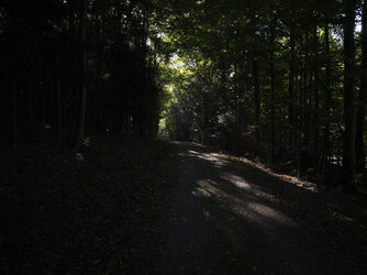 IMG_20250907_090507-Grundzustand_in_Lightroom.jpg