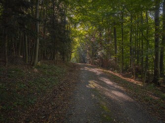 IMG_20250907_090507-2.jpg