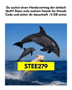 fraenk-for-friends-code-stee279 2.jpg