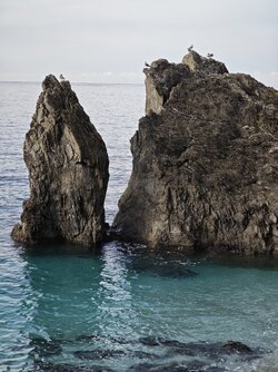 IMG_20250908_085408.jpg