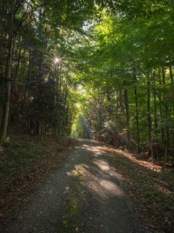 IMG_20250907_090522HDR_P3.jpg