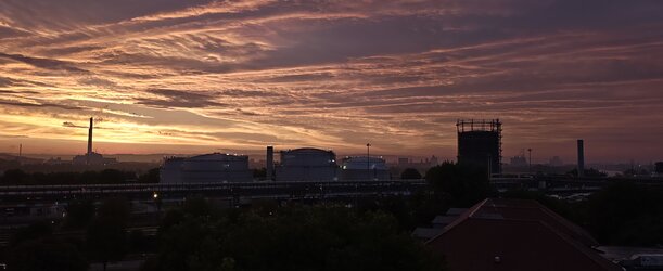 IMG_20250909_064943682.jpg