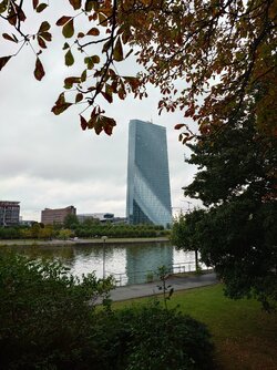 20250909_155120941.JPG