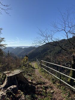 IMG_2259.jpeg