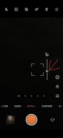 1000096725.jpg