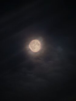 IMG_20250910_005627.jpg