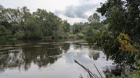 PXL_20250910_085535472.jpg