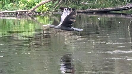 PXL_20250910_085542385~2.jpg