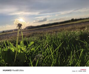 IMG_20250910_185354.jpg