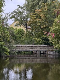 IMG_20250910_134222.jpg