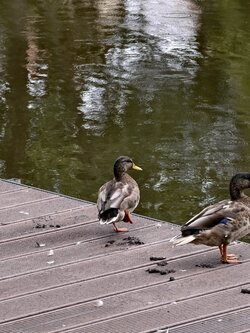 IMG_20250910_134028.jpg