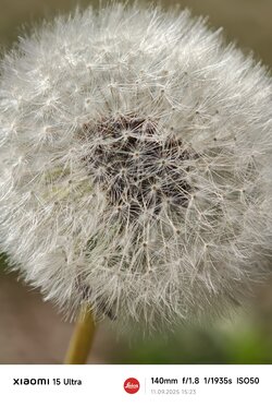 IMG_20250911_152314.jpg