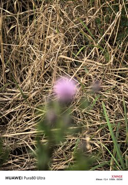 IMG_20250911_175614.jpg